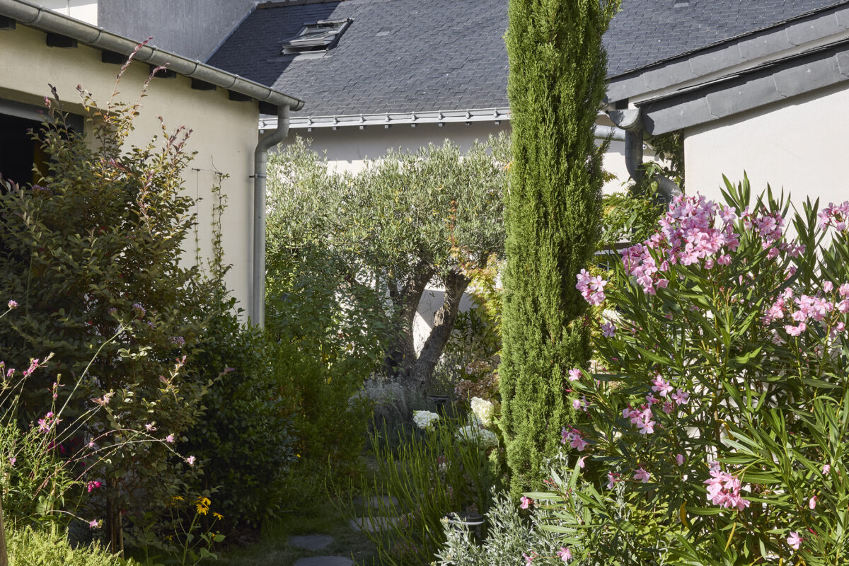 au milieu du jardin de la maison du traict chambres d'hotes au croisic
